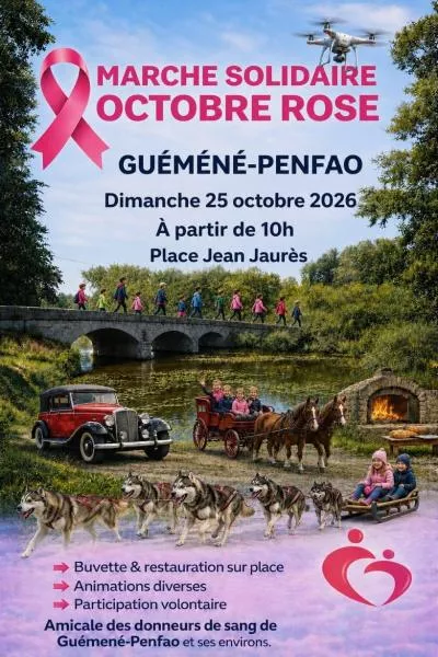 Affiche_OctRose_GuéménéPenfao_26