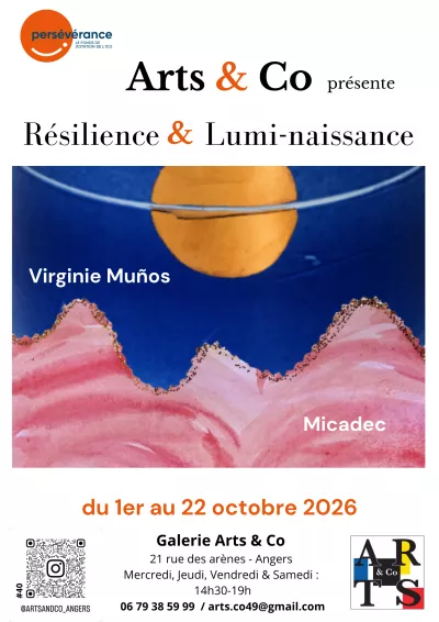 affiche résilience lumi naissance