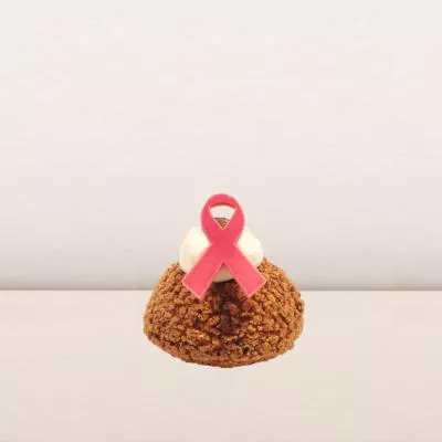 Octobre-rose-choux